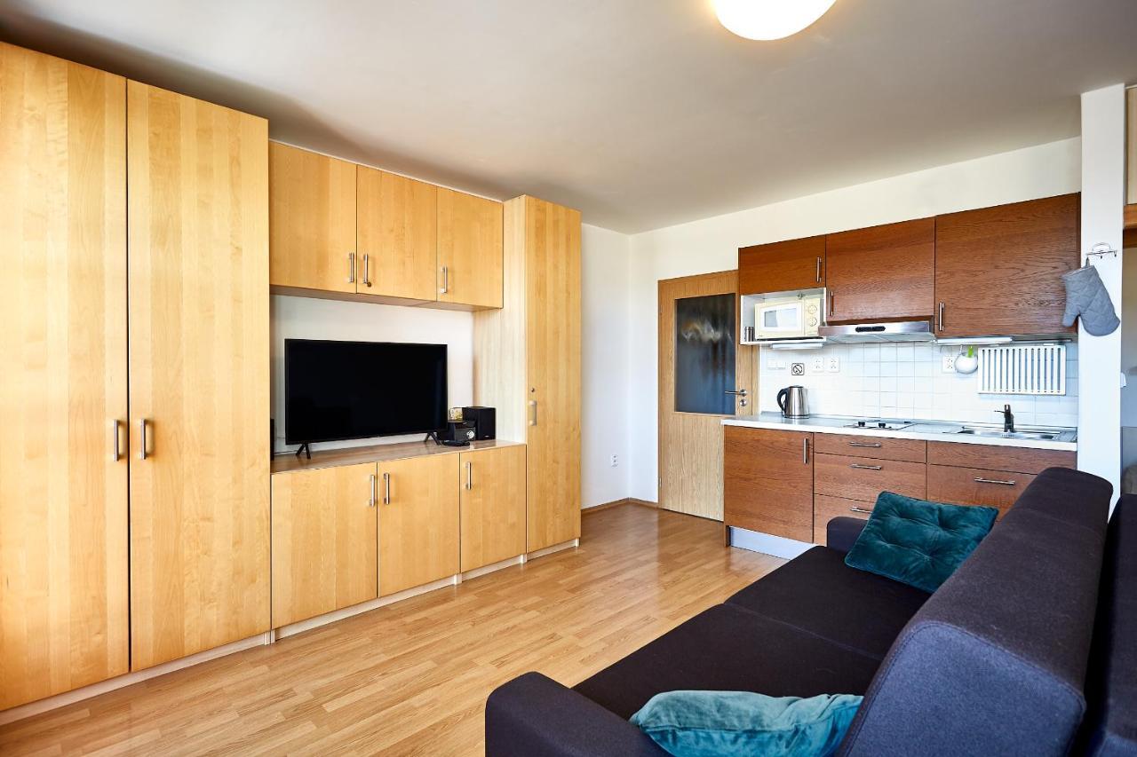Appartamento Apartmán Klínovec 365 Loučná pod Klínovcem Esterno foto