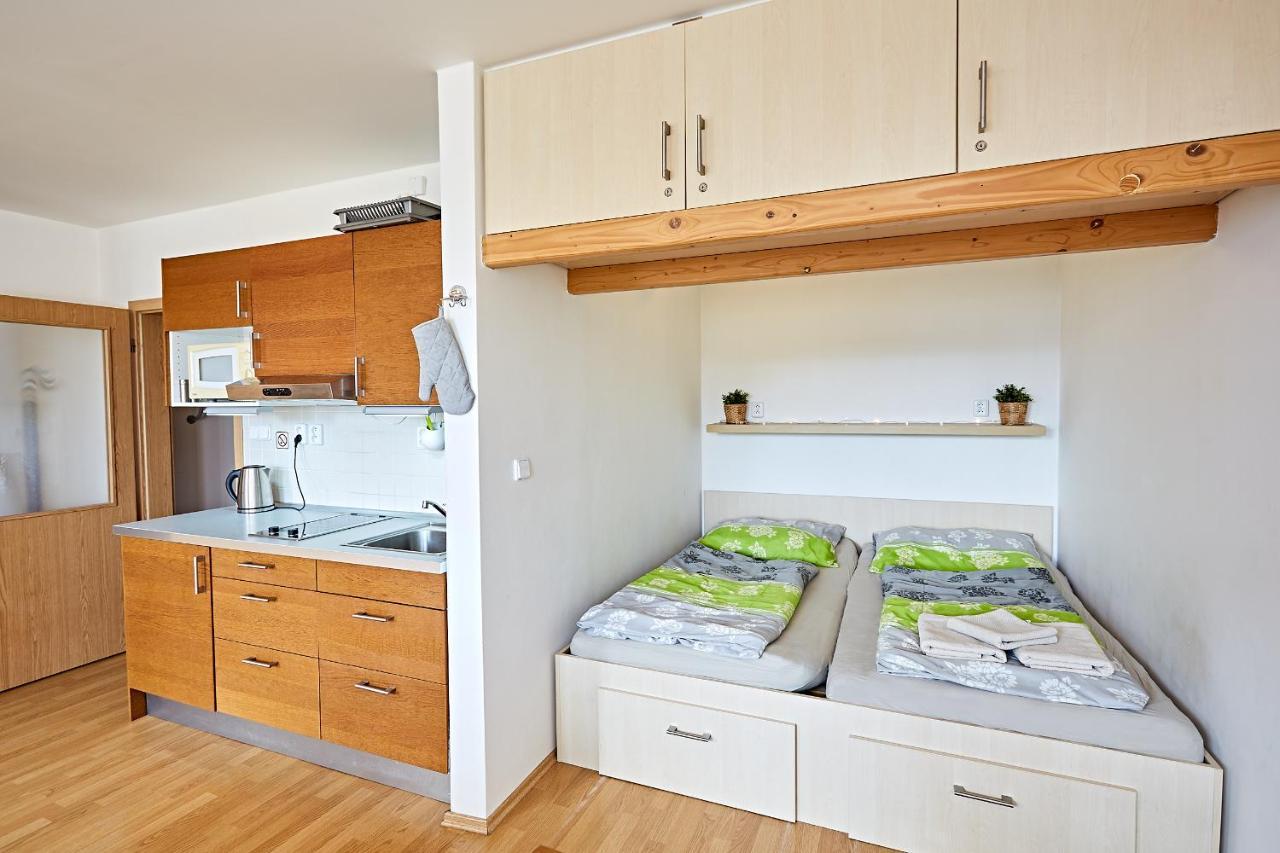 Appartamento Apartmán Klínovec 365 Loučná pod Klínovcem Esterno foto